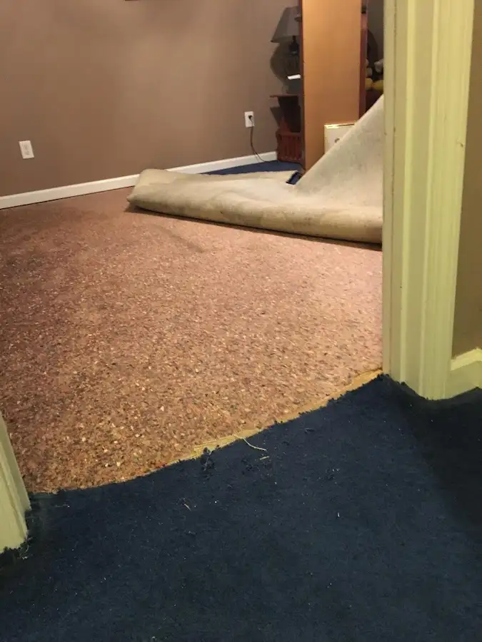 Carpet pad removal revealing water damage during Water Mitigation Services in Moody