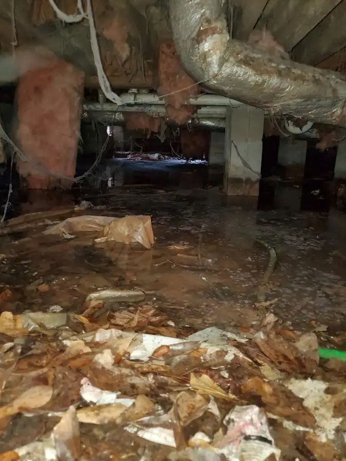 Crawl space flood assessment for Leak Detection & Repair in Moody
