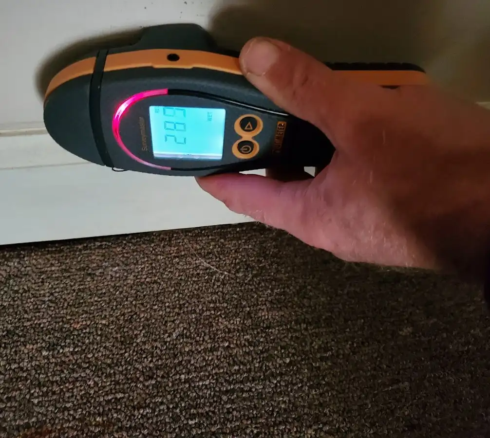 Moisture detection at baseboard during Sewage Cleanup & Sanitation in Moody